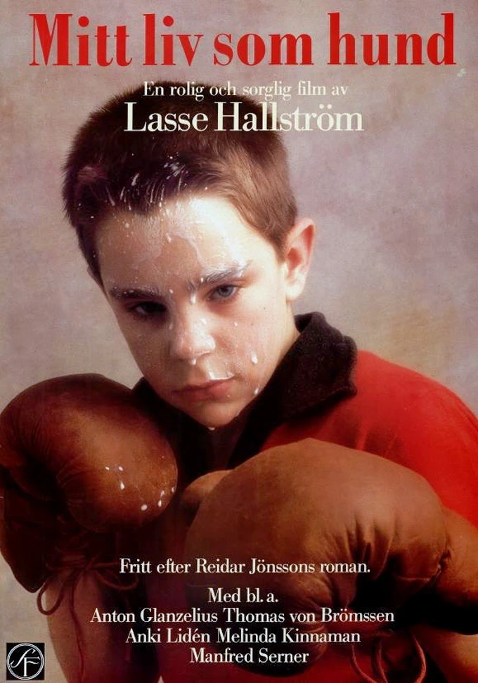 Mitt liv som hund (1985)