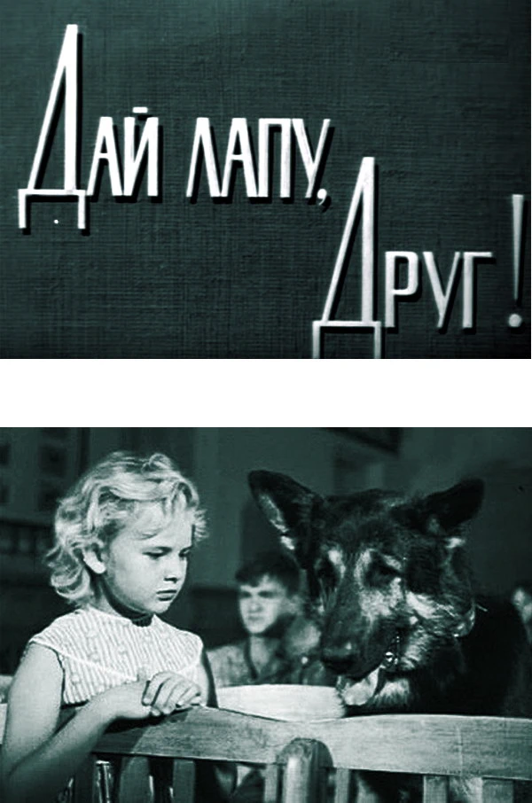 Дай лапу, друг! (1967)