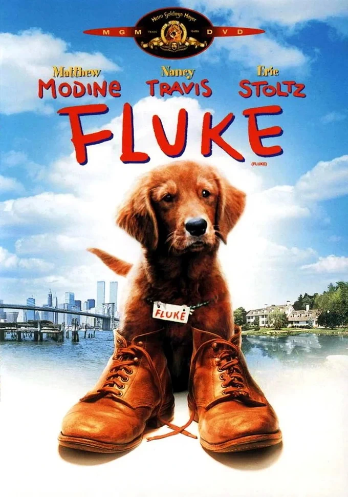 Fluke (1995)