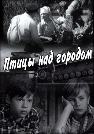 Птицы над городом (1974)