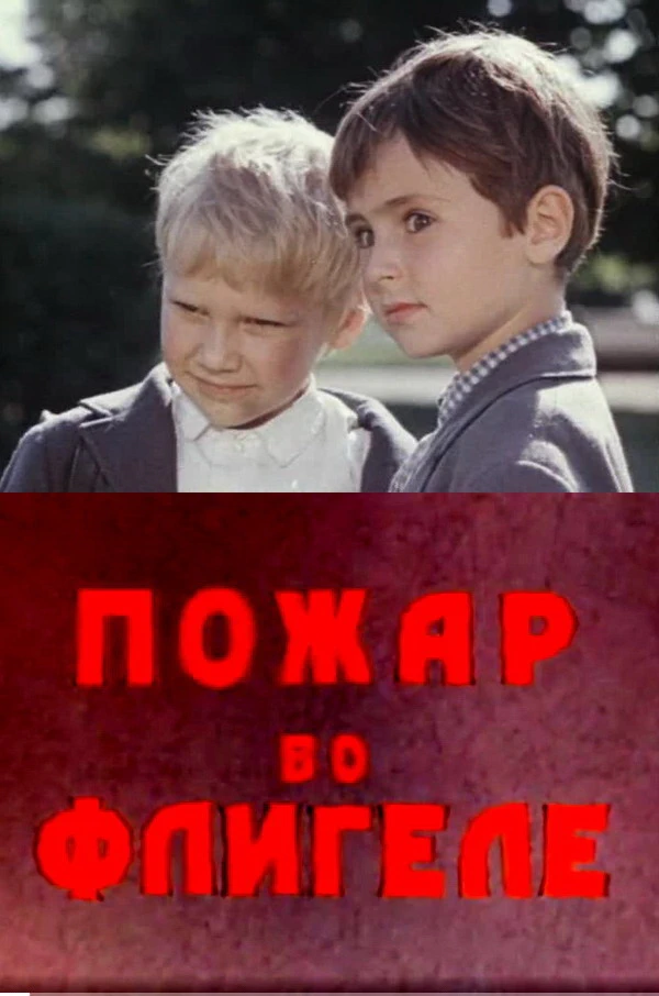 Пожар во флигеле (1973)