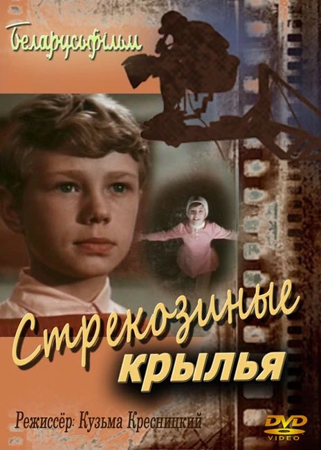 Стрекозиные крылья (1968)