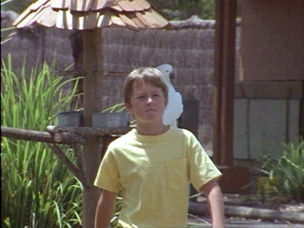 The Adventures of Skippy (1992)