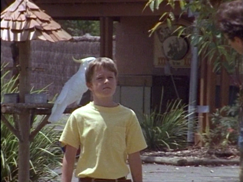The Adventures of Skippy (1992)