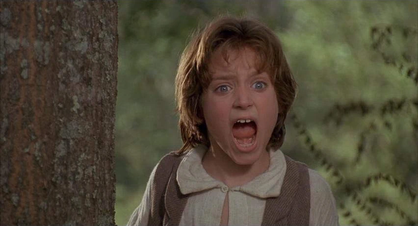 Elijah Wood