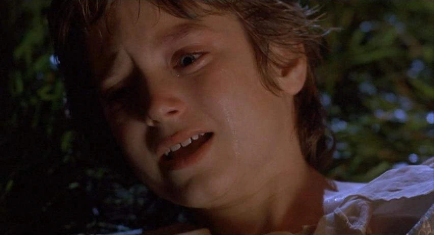 Elijah Wood