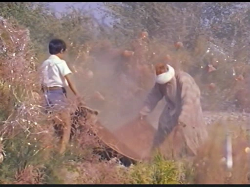 Сократ Сулейманов