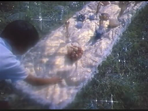 Акмаль, дракон и принцесса (1981)