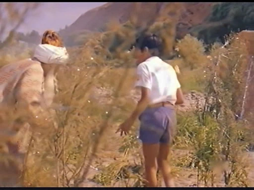 Сократ Сулейманов