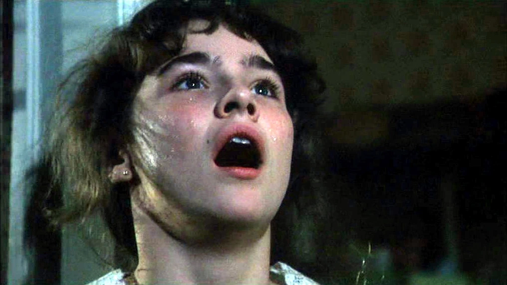 Amityville II: The Possession (1982)