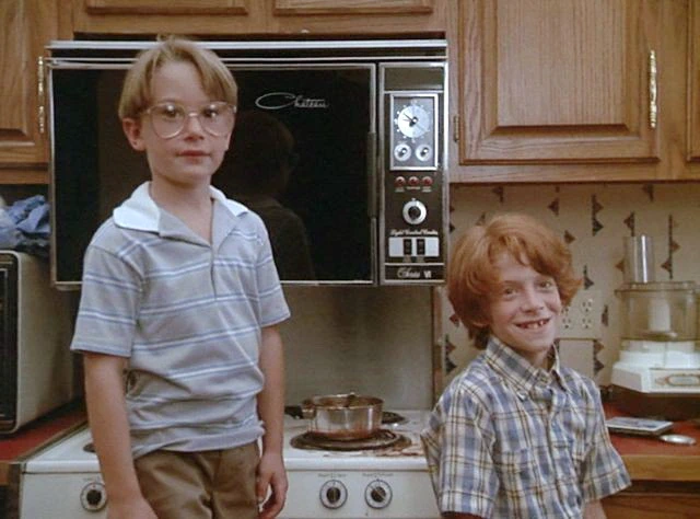 Joshua Rudoy, Seth Green