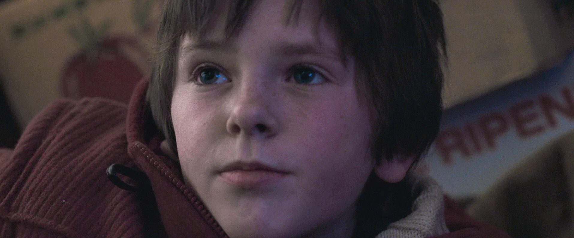 Freddie Highmore
