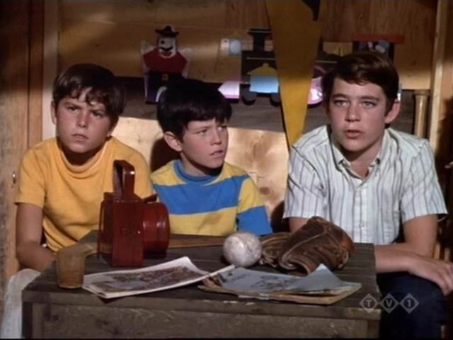 Mike Lookinland, Barry Williams, Christopher Knight