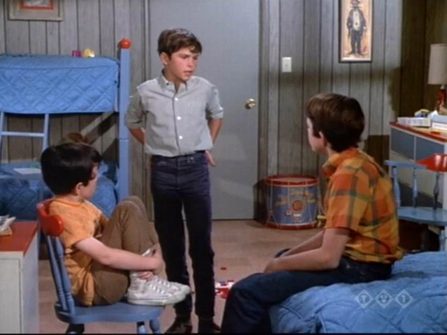 Mike Lookinland, Barry Williams, Christopher Knight