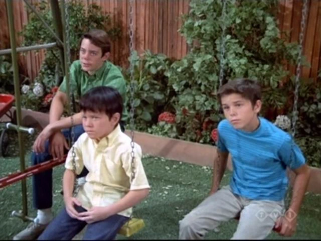 Mike Lookinland, Barry Williams, Christopher Knight