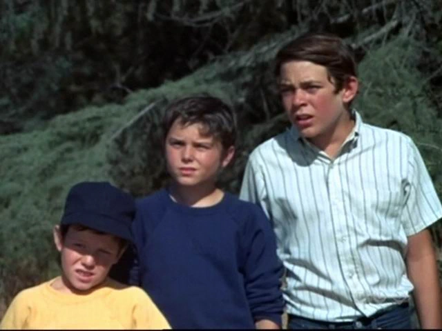 Barry Williams, Christopher Knight