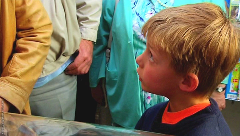 Pelle Bang Sørensen