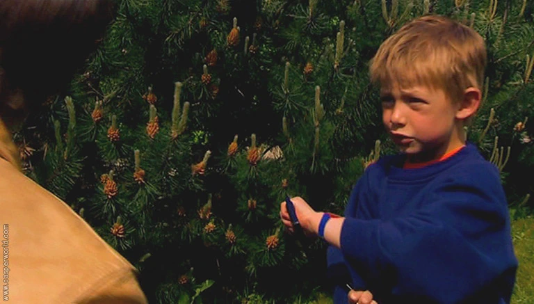 Pelle Bang Sørensen