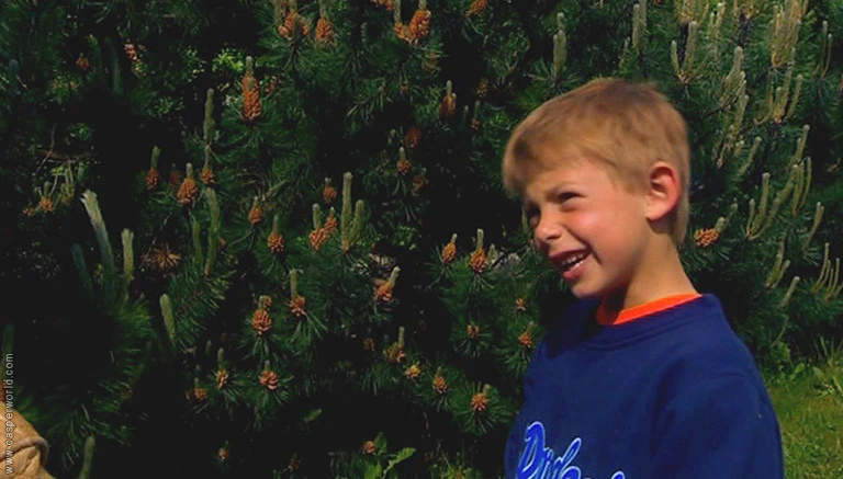 Pelle Bang Sørensen