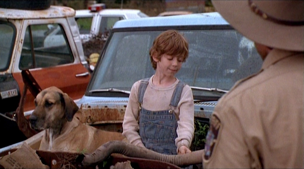 Bug Hall
