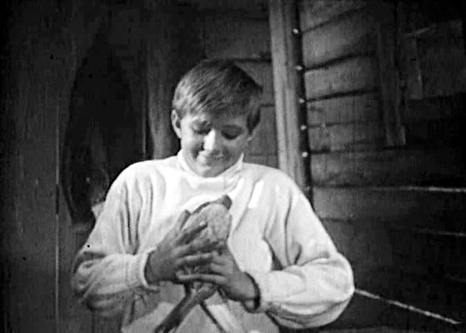Коля Бурляев