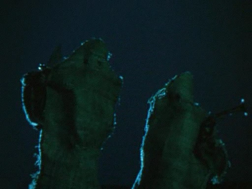 Приключения Буратино (1975)
