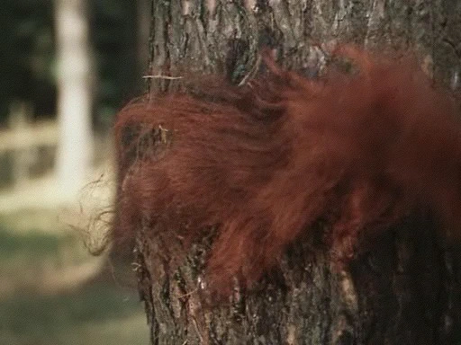 Приключения Буратино (1975)