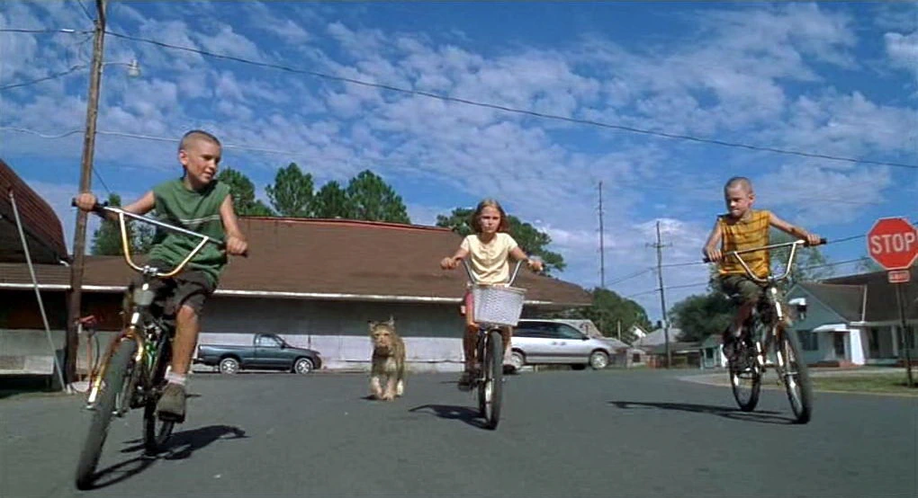 Because of Winn-Dixie (2005)