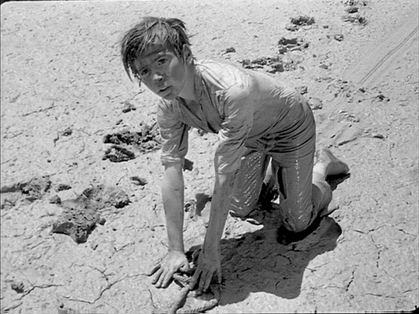 Alain Emery