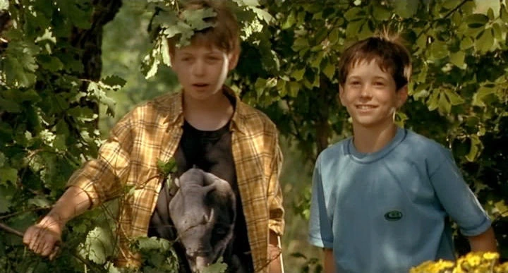 Gautier Kusnierek, Jérôme Hardelay