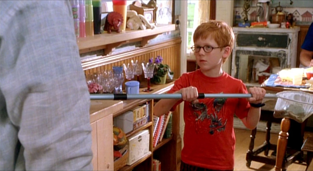Cheaper by the Dozen (2003)