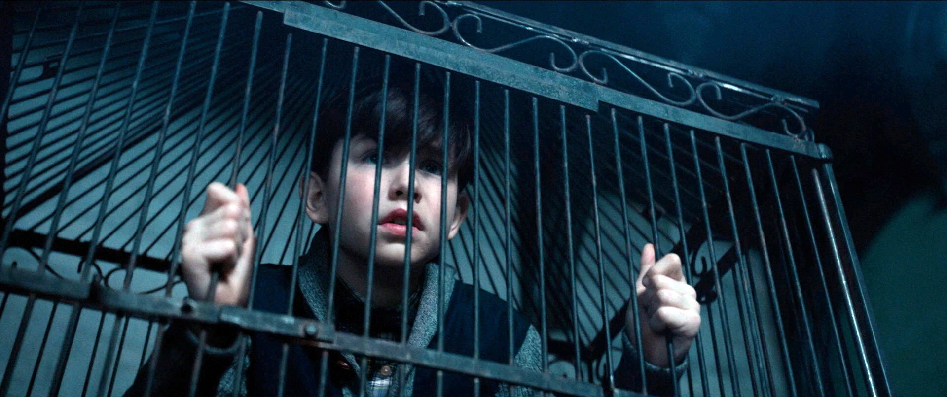 Owen Vaccaro
