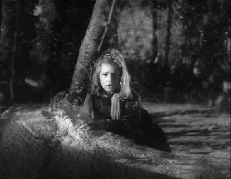 Ann Carter