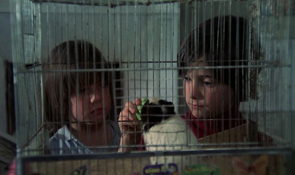 Ana Torrent, Maite Sánchez