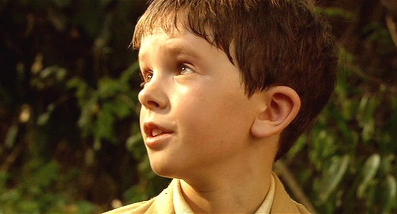 Freddie Highmore