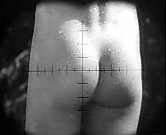 Добро пожаловать или Посторонним вход воспрещён (1964)