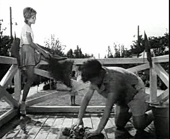 Добро пожаловать или Посторонним вход воспрещён (1964)