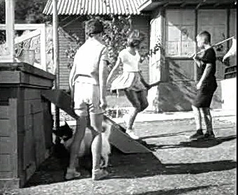 Добро пожаловать или Посторонним вход воспрещён (1964)