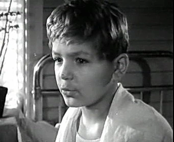 Добро пожаловать или Посторонним вход воспрещён (1964)