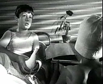 Добро пожаловать или Посторонним вход воспрещён (1964)