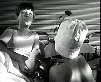 Добро пожаловать или Посторонним вход воспрещён (1964)