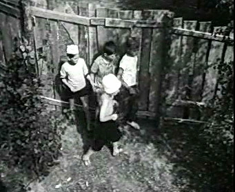 Добро пожаловать или Посторонним вход воспрещён (1964)