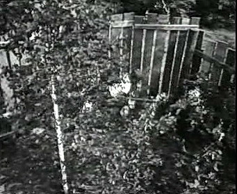 Добро пожаловать или Посторонним вход воспрещён (1964)