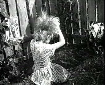 Добро пожаловать или Посторонним вход воспрещён (1964)