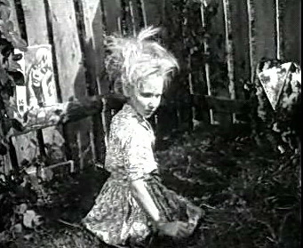 Добро пожаловать или Посторонним вход воспрещён (1964)
