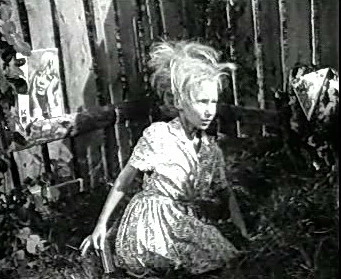 Добро пожаловать или Посторонним вход воспрещён (1964)
