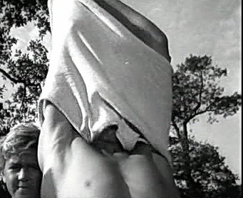 Добро пожаловать или Посторонним вход воспрещён (1964)