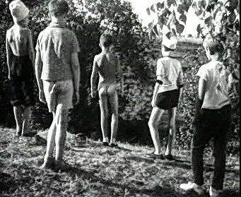 Добро пожаловать или Посторонним вход воспрещён (1964)
