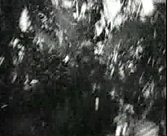 Добро пожаловать или Посторонним вход воспрещён (1964)