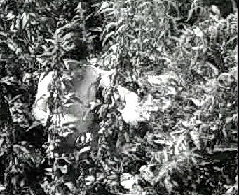 Добро пожаловать или Посторонним вход воспрещён (1964)
